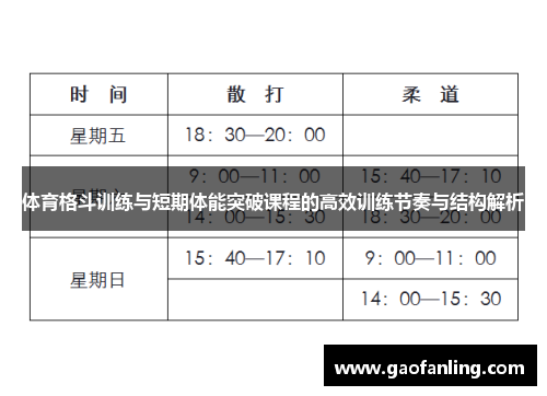 体育格斗训练与短期体能突破课程的高效训练节奏与结构解析