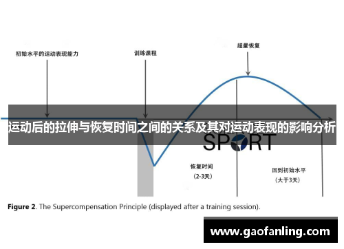 运动后的拉伸与恢复时间之间的关系及其对运动表现的影响分析