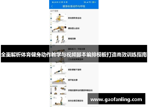 全面解析体育健身动作教学与视频脚本编排模板打造高效训练指南