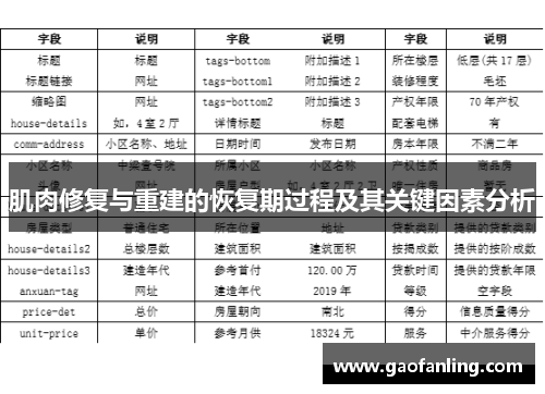 肌肉修复与重建的恢复期过程及其关键因素分析