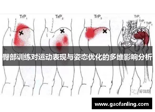 臀部训练对运动表现与姿态优化的多维影响分析